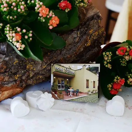 Hotel Silvana 2*